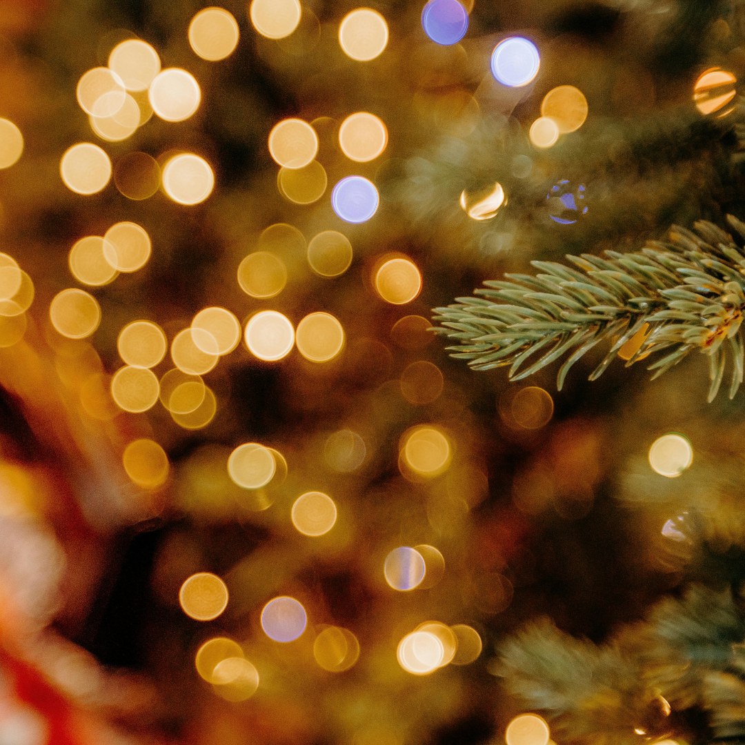 Featured image for “How to Put Lights on a Tree Outdoors”